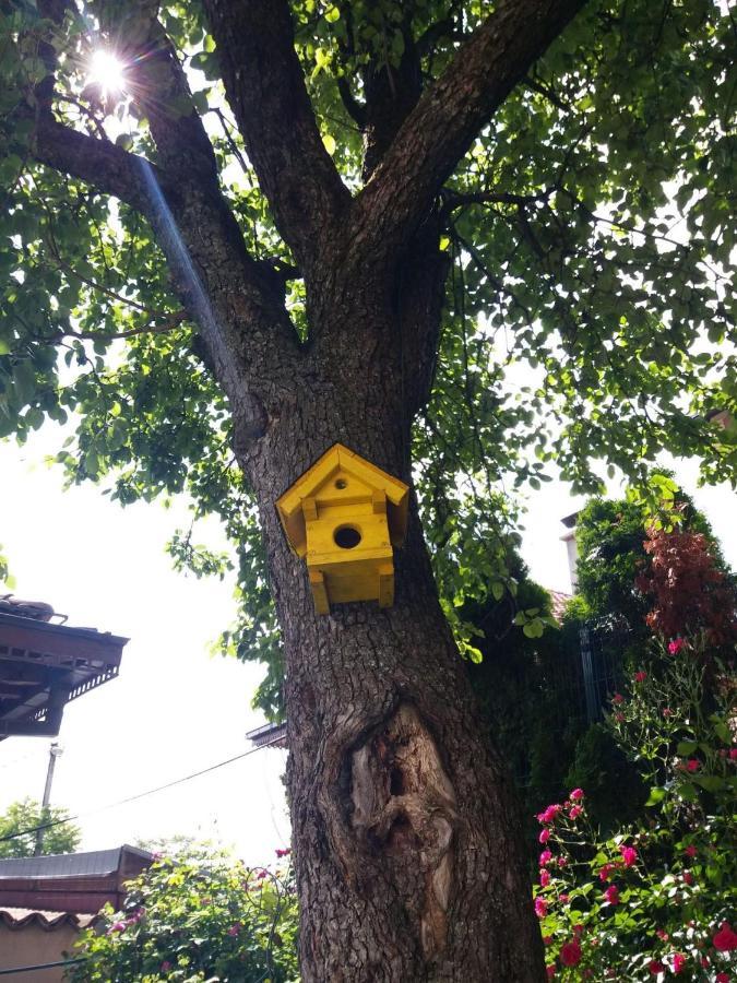 Hedgehog'S Home - Jezeva Kucica Free Parking SJJ Esterno foto